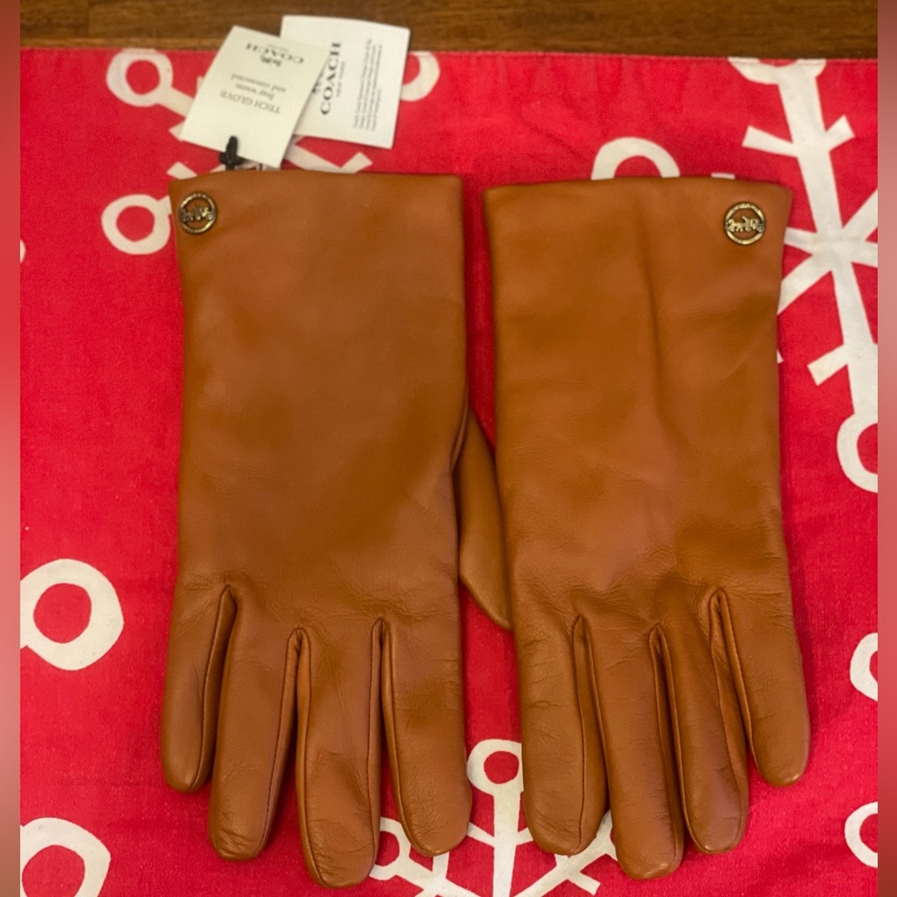 Coach gloves